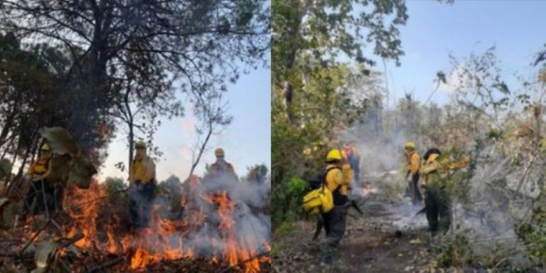 Continúan activos más de 50 incendios forestales en el país