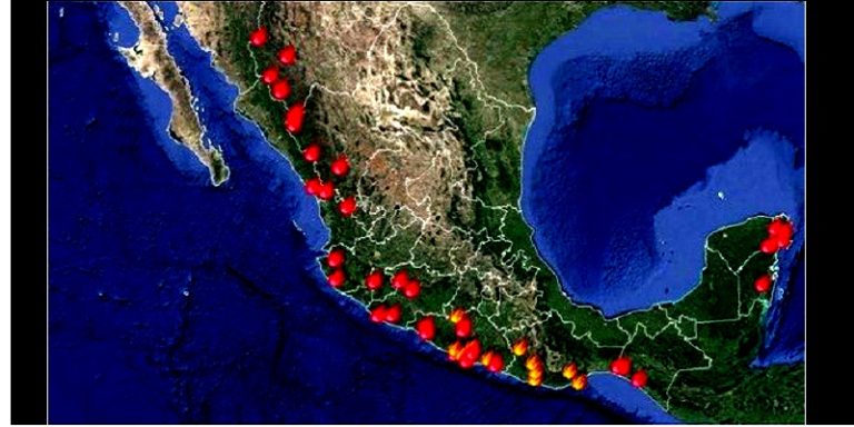 Alertan evitar incendios forestales