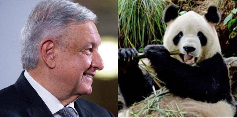 AMLO garantizado cuidado animal