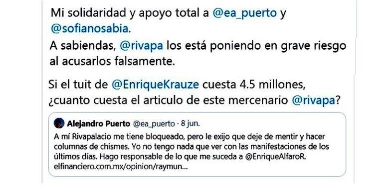 Raymundo Riva Palacio difama