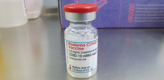 Cofepris alerta sobre venta ilegal de la vacuna Moderna en internet