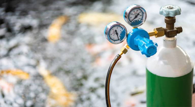 CDMX apoya iniciativa de jóvenes para consultar disponibilidad de tanques de oxígeno