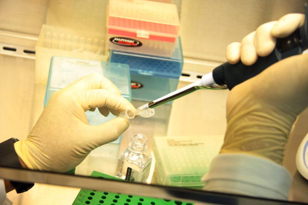 UNAM refuerza laboratorios para desarrollar y evaluar dos vacunas contra Covid-19