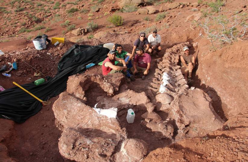 Encuentran fósiles del Ninjatin; sería el dinosaurio más antiguo del mundo