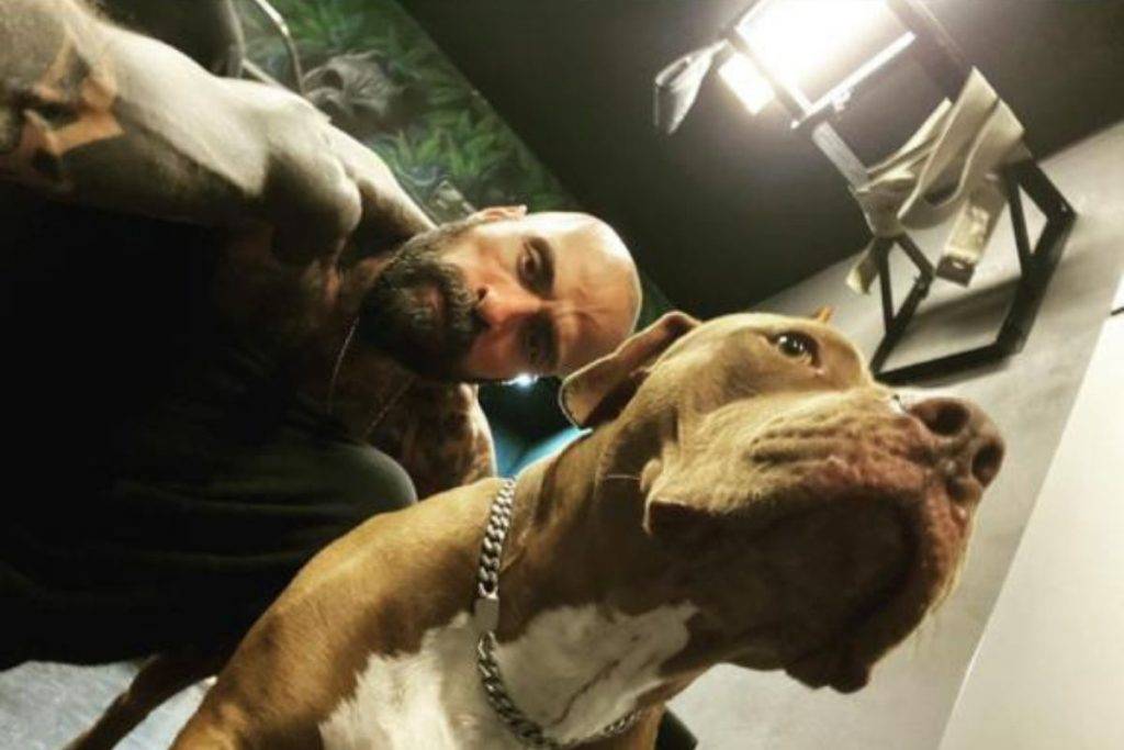 Roban camioneta y mascota a Babo de Cártel de Santa; detienen al responsable