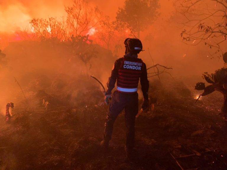 Asi fue el incendio que consumió parte de la reserva ecológica de Tlalpan