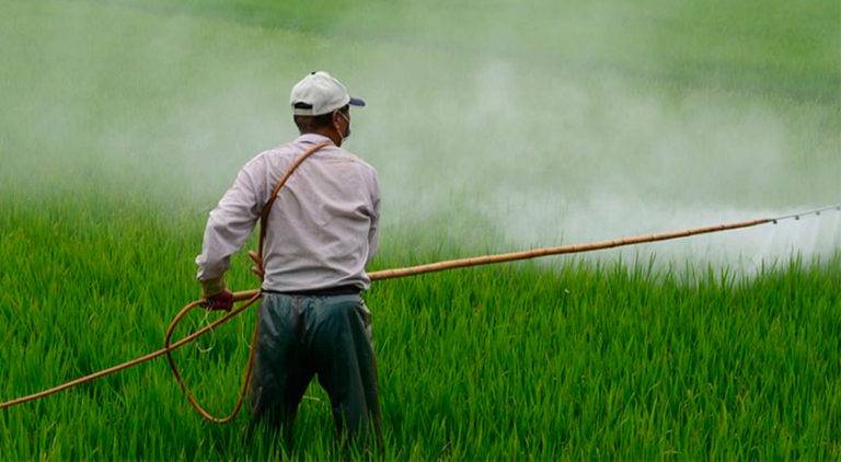 Denuncian presión de productores agrícolas de EU a México