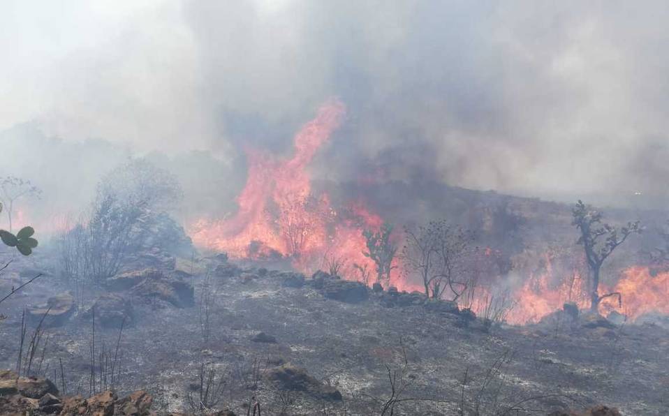 Más de 29 mil hectáreas han sufrido incendios en lo que va del 2021