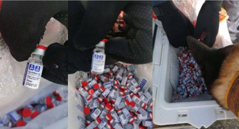Decomisan vacunas Sputnik V en Campeche; buscaban enviarlas a Honduras