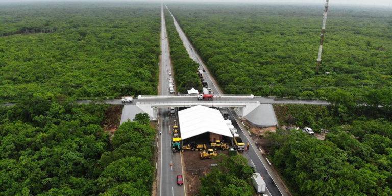 Tramo 5 del Tren Maya estará a cargo de la Sedena: Fonatur