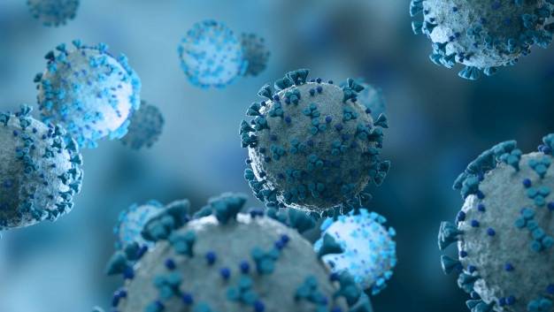Se identificó nueva variante del virus SARS-CoV-2 en Francia