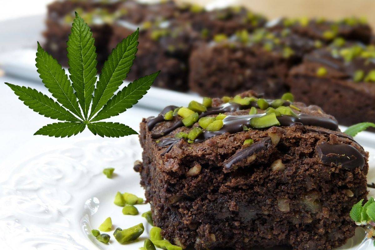 Condenan a 3 años de cárcel a cuatro jóvenes que vendían brownies de mariguana