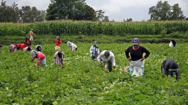 Mexicanos iban por trabajo a Polonia y terminan en red de trata laboral