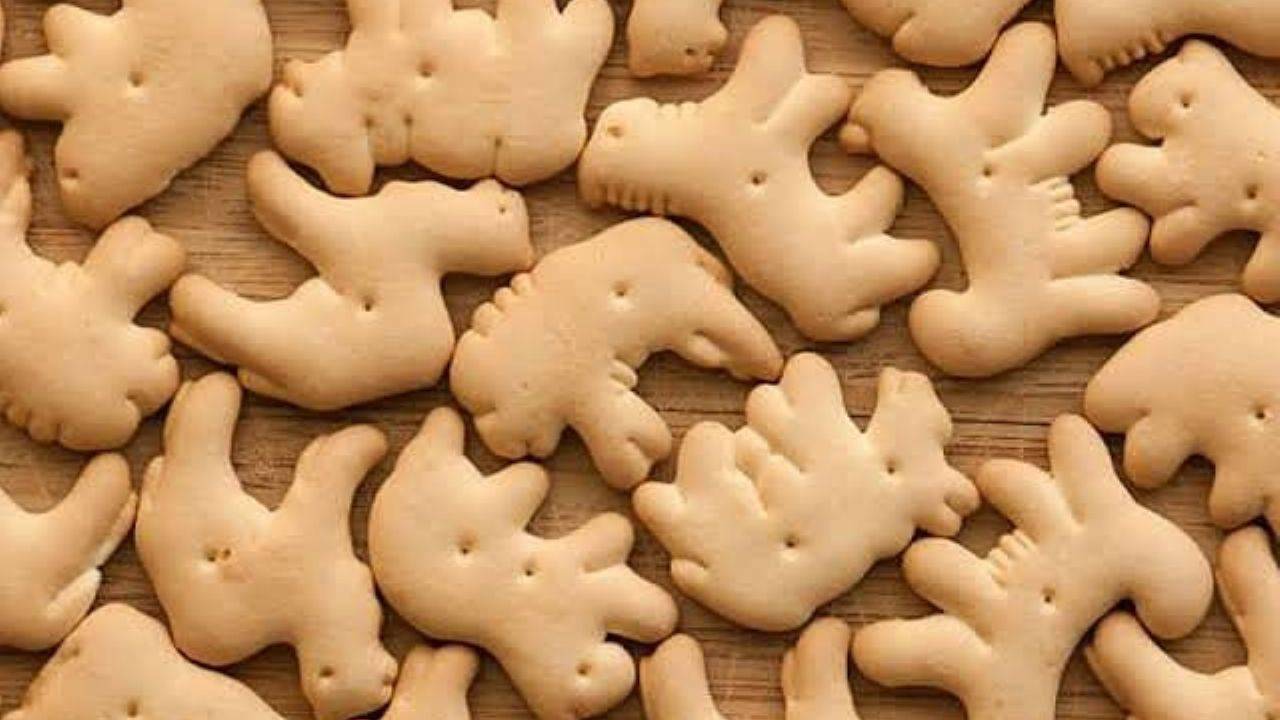 ¿Veganos buscan prohibir las galletas de animalitos por fomentar el maltrato animal?