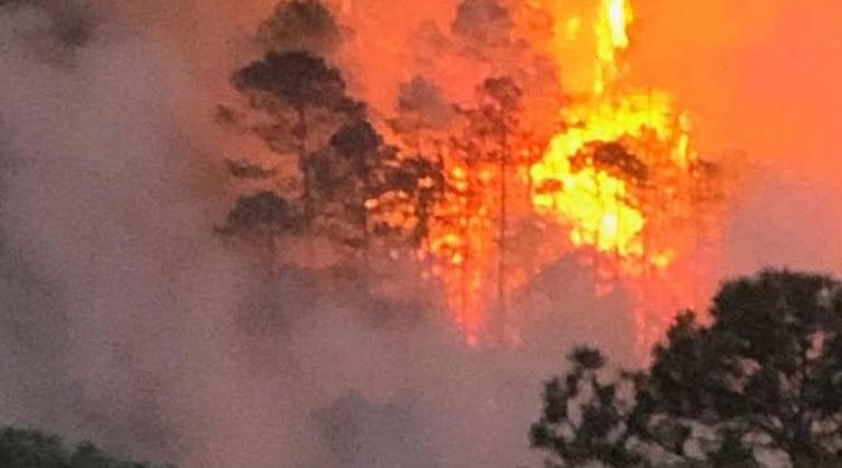 Oaxaca pide declaratoria de emergencia en 13 municipios por incendios