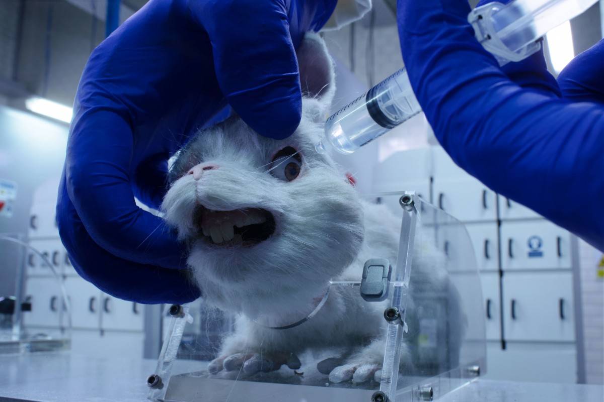 “Save Ralph” busca concientizar en contra de la experimentación en animales