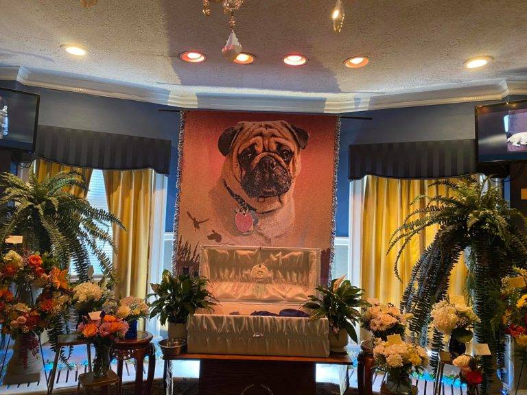 Joven organiza elegante funeral para despedir a su perrito y se viraliza en redes