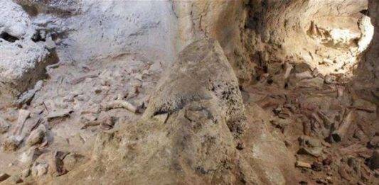 Descubren fósiles de nueve neandertales cerca de Roma