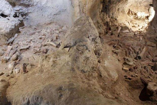 Descubren fósiles de nueve neandertales cerca de Roma