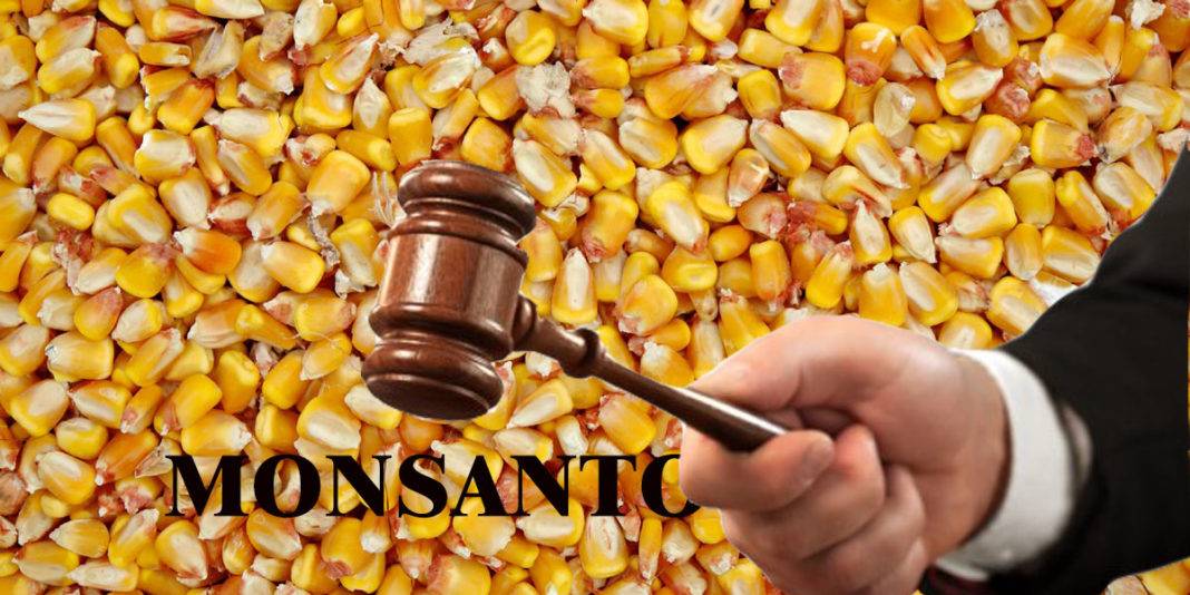 Rev s De Un Juez A Monsanto Por Uso De Herbicida Peligroso Regeneraci nMX