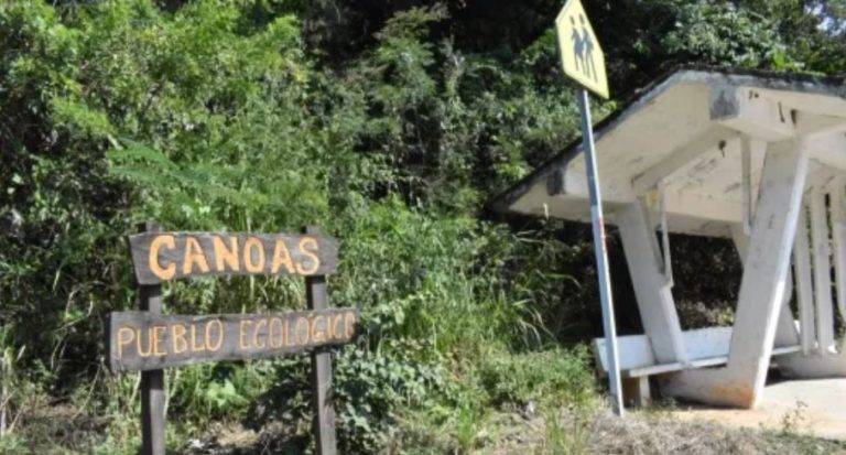 Semarnat frena la producción de minera canadiense