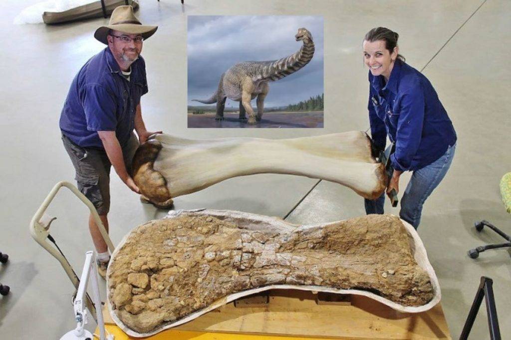 Descubren el dinosaurio mas grande hallado en Australia, mide ms de 25 metros de largo