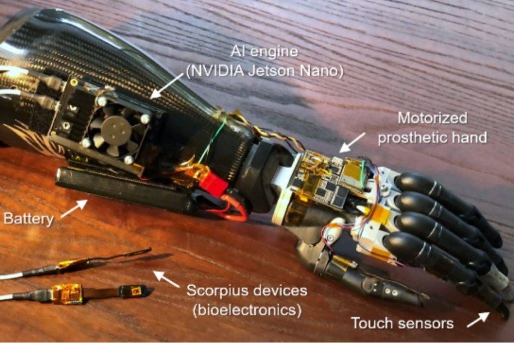 Científicos desarrollan mano robótica capaz de obedecer órdenes del cerebro