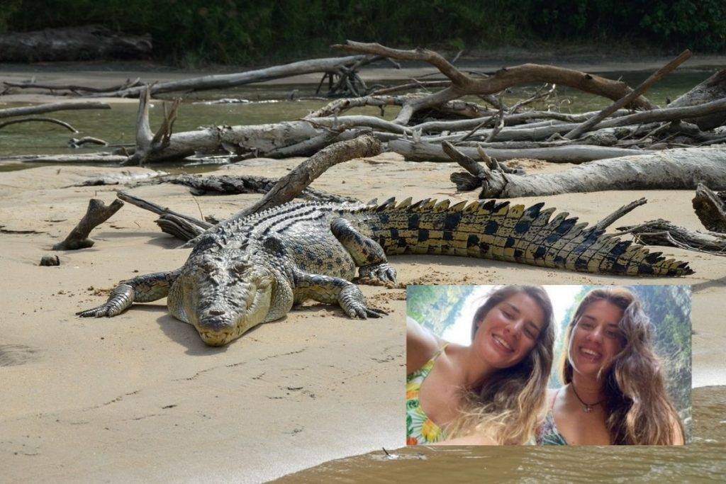 Cocodrilos atacan a turistas inglesas en Oaxaca; una se encuentra grave de salud