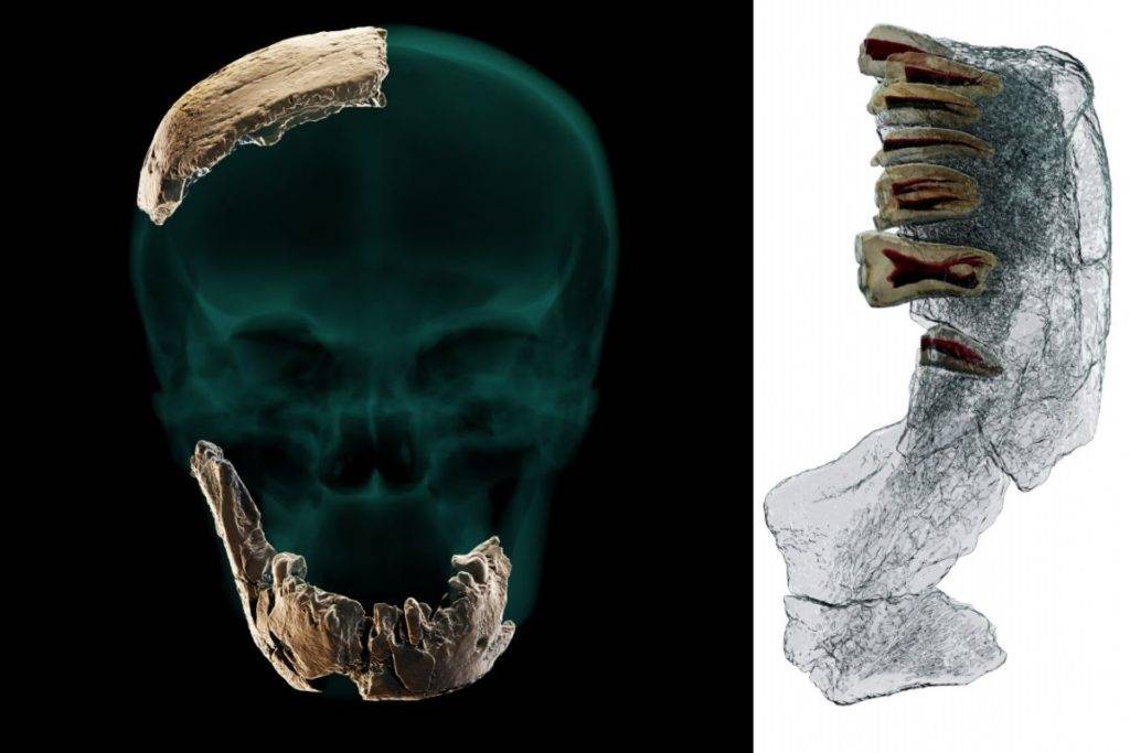 Científicos descubren al Homo Nesher Ramla, una nueva especie humana