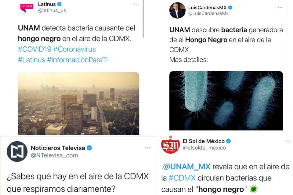 Desmiente la UNAM notas sobre el hongo negro