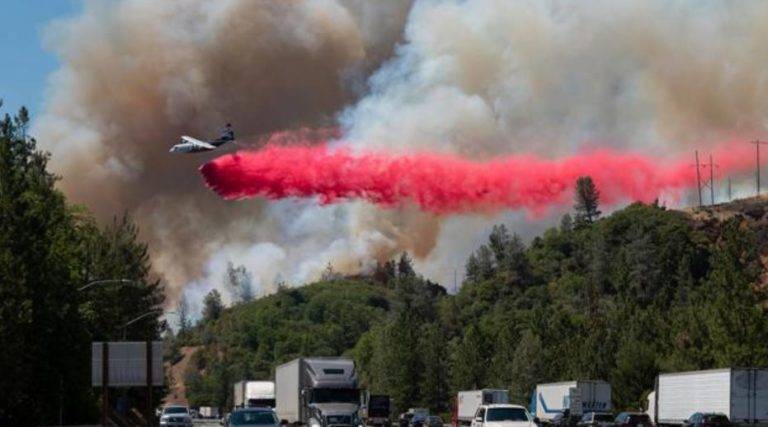 Ola de calor en Canadá provoca la muerte de al menos 500 personas