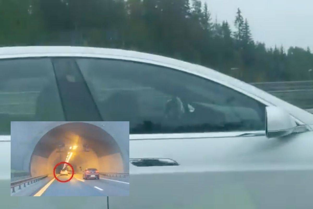 Piloto automatico de Tesla salva a un conductor ebrio