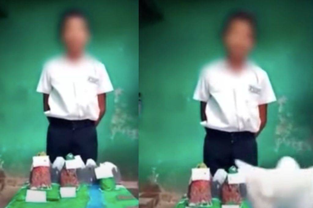 Video: Gato destruye maqueta de niño durante exposición virtual