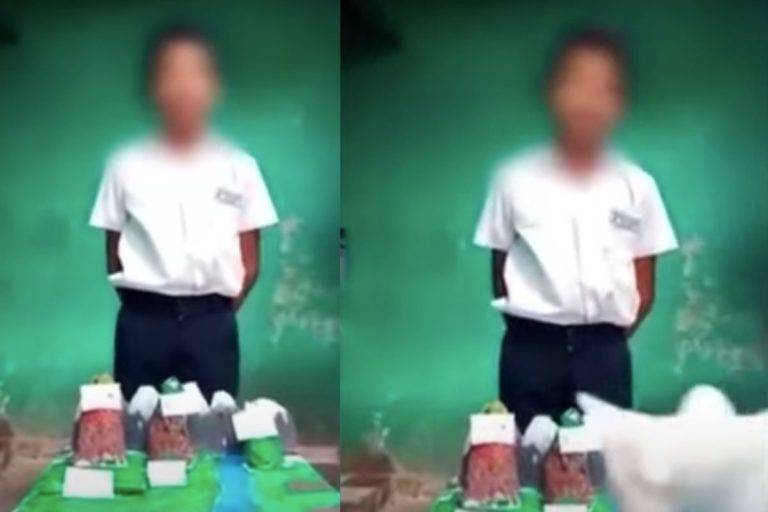 Video: Gato destruye maqueta de niño durante exposición virtual