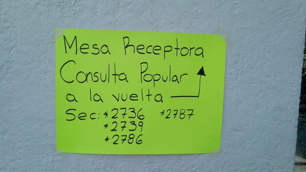 ¿El ratón loco apareció en la consulta popular?