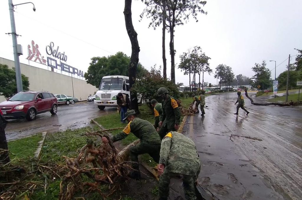 24 municipios de Veracruz requieren atención urgente por los daños que dejó “Grace”