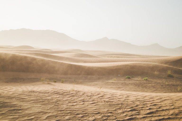 Niño migrante es rescatado en el desierto de Sonora