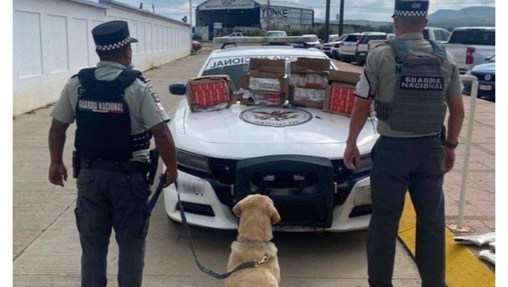 Guardia Nacional detiene tráiler con armas y cartuchos en Zacatecas