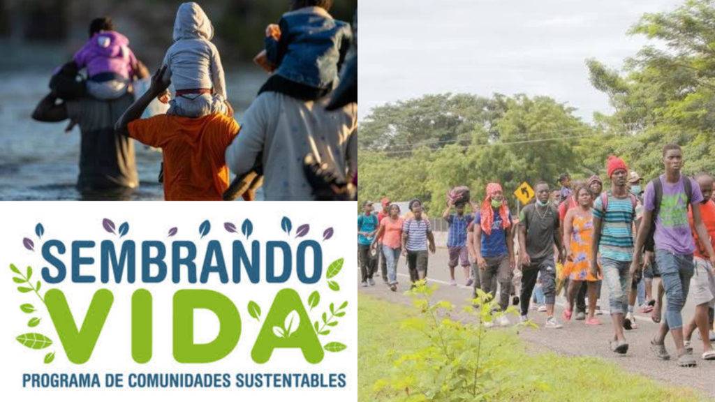 “Sembrando Vida” podrá ser implementado en Haití para combatir la migración
