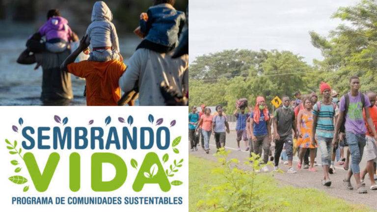 “Sembrando Vida” podrá ser implementado en Haití para combatir la migración