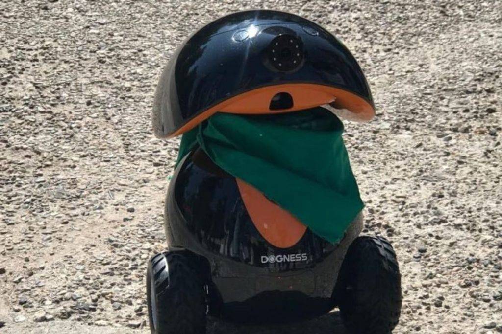 RAborta, el robot que ayuda a mujeres a abortar de forma segura y gratuita