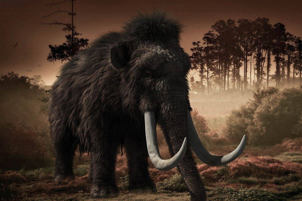 Científicos buscarán revivir al mamut lanudo