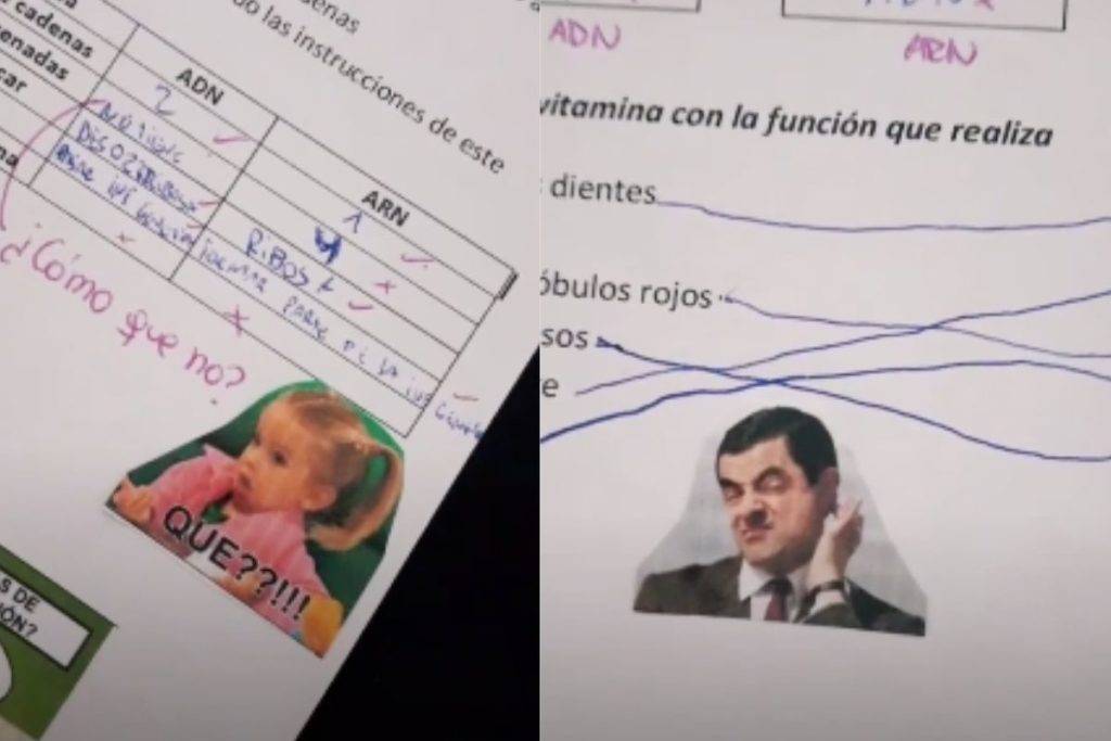 Maestra se viraliza por calificar a sus alumnos con memes