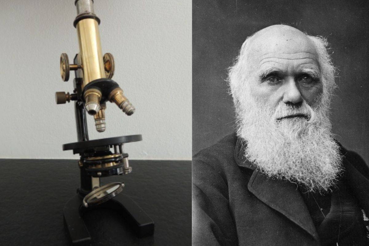 Subastarán microscopio que utilizó Charles Darwin hace dos siglos
