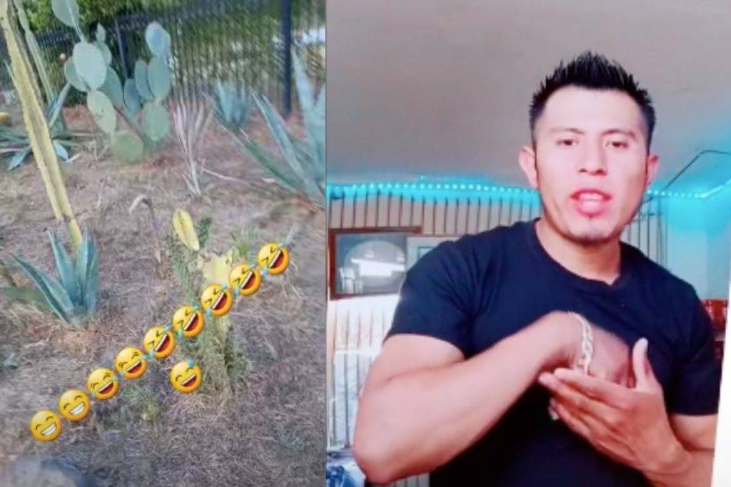 TikToker guatemalteco insulta a mexicanos diciendo que parecen puercos por comer nopales