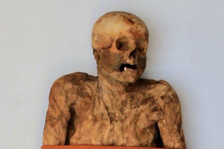 Encuentran a tres ‘parientes’ vivos de una momia del siglo XVIII