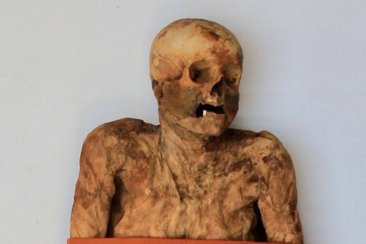 Encuentran a tres ‘parientes’ vivos de una momia del siglo XVIII