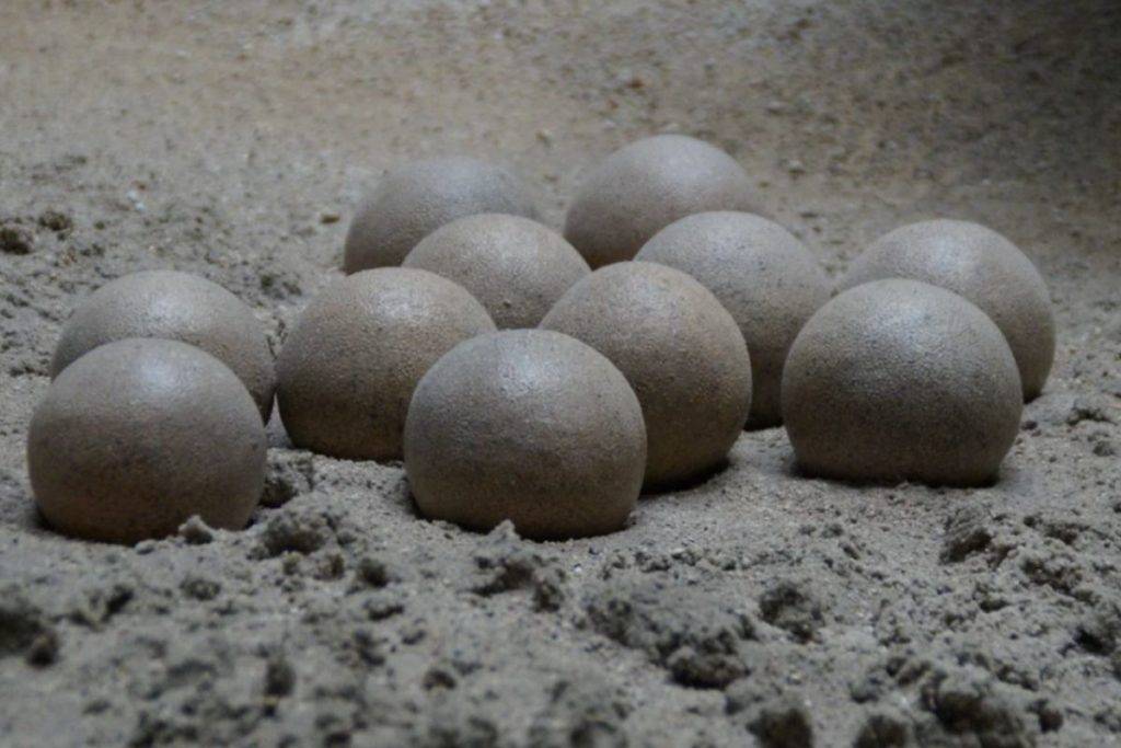 Hallan más de 100 huevos fosilizados de dinosaurios
