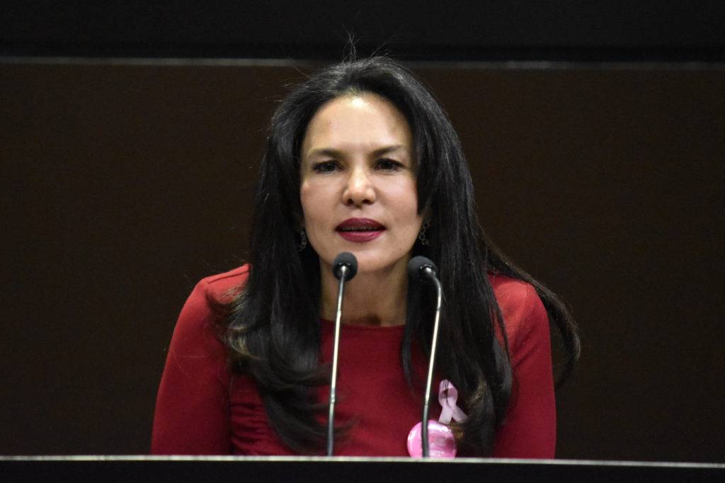 Diputada del PAN llama "hambriados" a legisladores de Morena y a AMLO