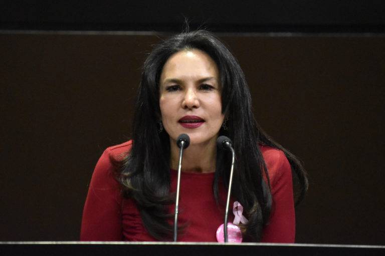 Diputada del PAN llama "hambriados" a legisladores de Morena y a AMLO